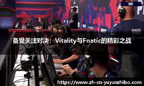 备受关注对决：Vitality与Fnatic的精彩之战